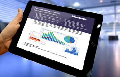 Программное обеспечение Schlumberger Software Integrated Solutions